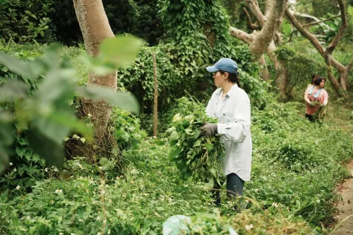 2023企業家庭森林日